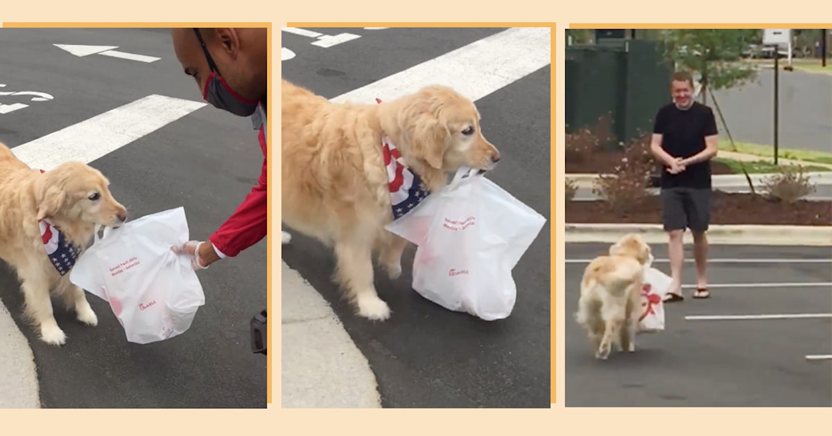 Video of a golden retriever fetching Chick-fil-A for her owner goes viral