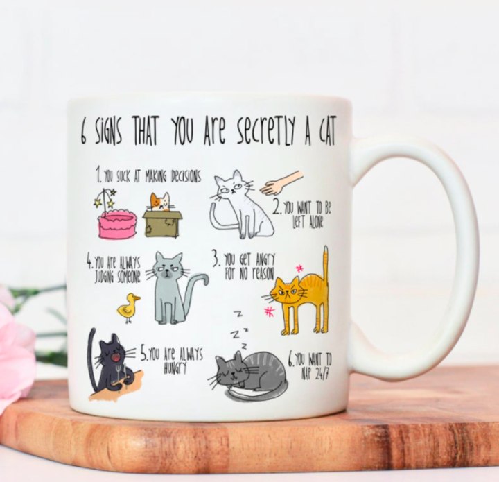 best cat themed gifts