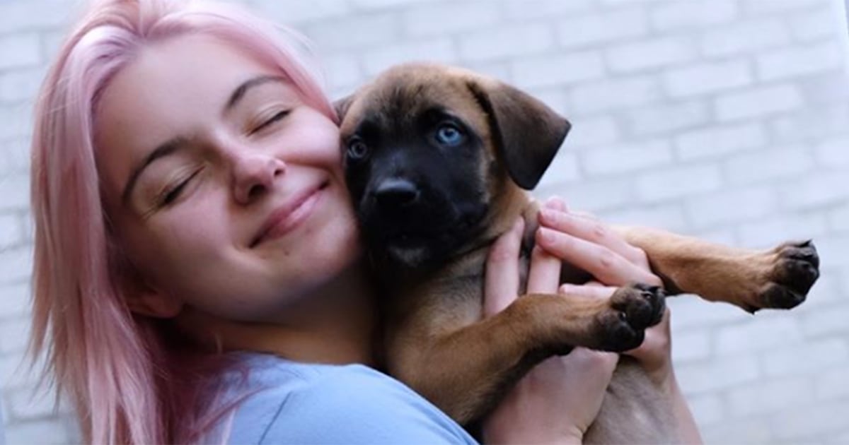 Ariel Winter adopts adorable blue-eyed rescue puppy with boyfriend Luke Benward
