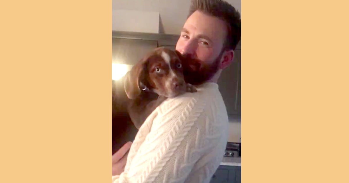 Chris Evans' and Aly Raisman's dogs had a play date, and the video is so adorable