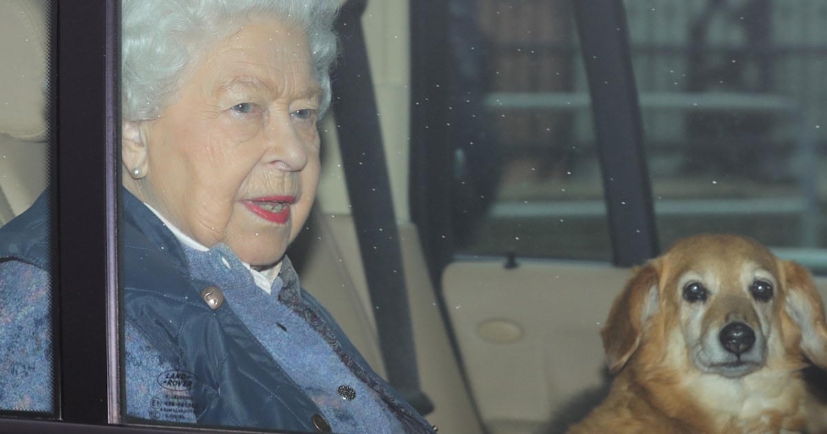 Queen Elizabeth's beloved dorgi Vulcan dies, leaving her with just 1 dog