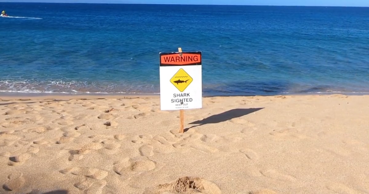 California snorkeler injured in shark attack on Hawaii