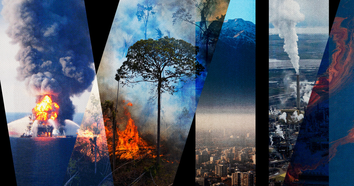 ‘Ecocide’ movement strives for new international crime: environmental destruction