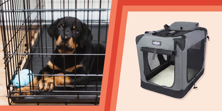 How To Crate Train Your Dog According To Experts