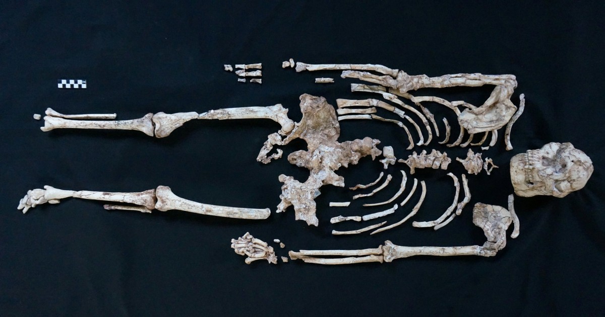 Careful study of ‘Little Foot’ fossil sheds light on human origins