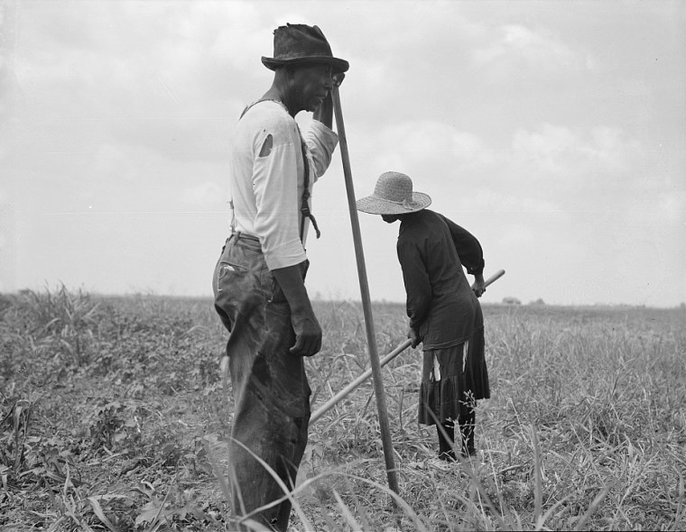 Cotton sharecroppers in Greene County, Ga., June 1937.