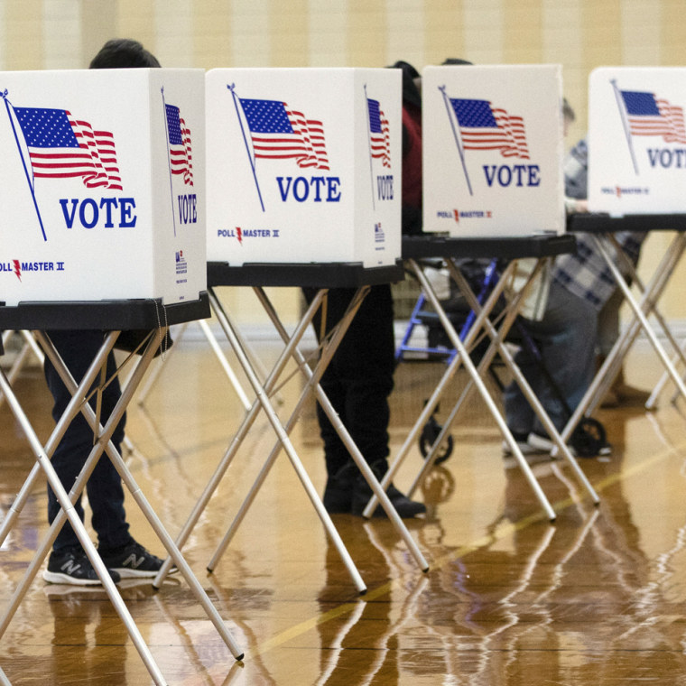 Image: Michigan voting machines