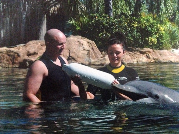 Dolphin proposal goes swimmingly for vacationing couple ...