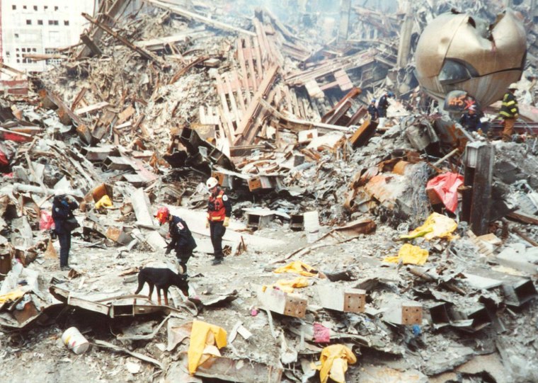 Image: "Hero Dogs of 9/11"