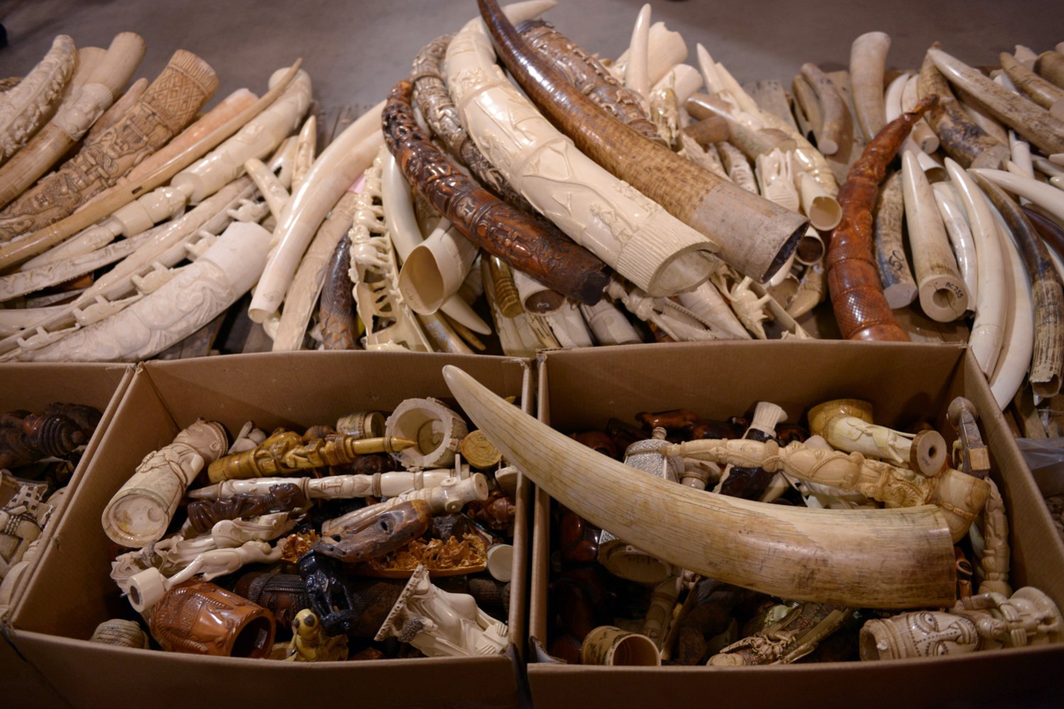 US crushes 6 tons of illegal ivory to send message to ...