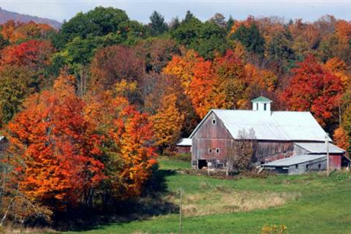 It'll make you see red -- or not: Warming could dull fall tree colors - NBC News1200 x 800