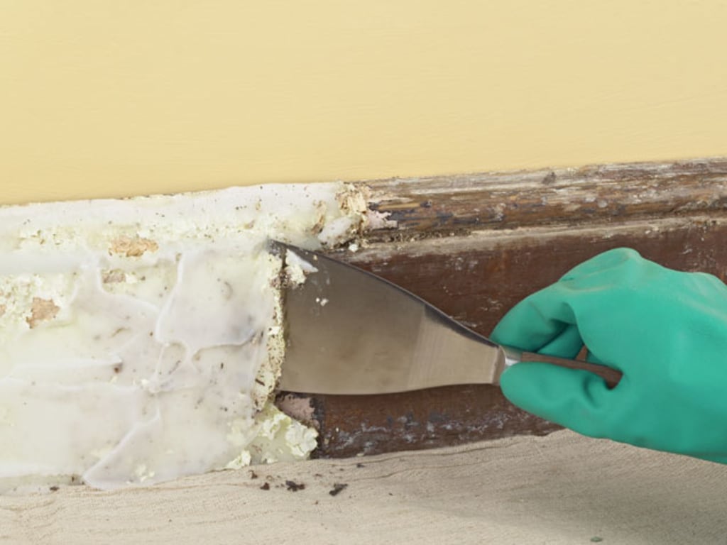 Removing Paint From Walls